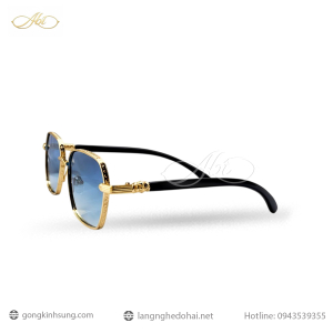 Kính gọng sừng đen