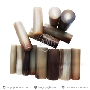 Con Dấu Cá Nhân Bằng Sừng